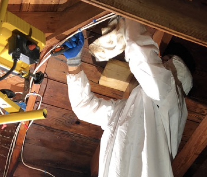a worker in a white protective body suit in an attic