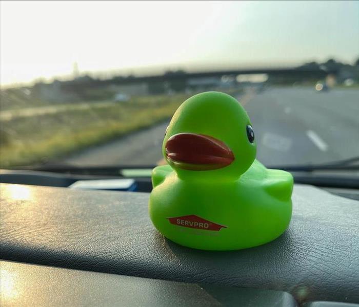 Rubber duck on a car dash.