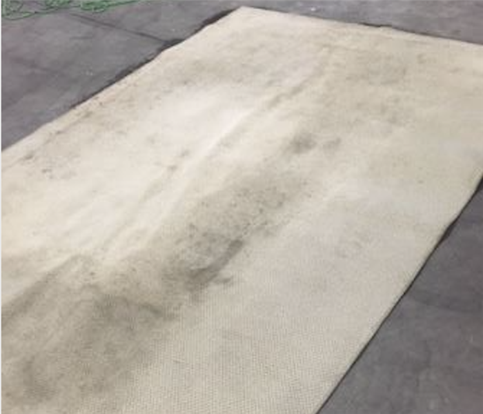 Area rug in warehouse about to be cleaned.