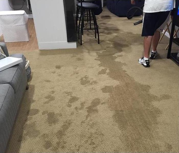 soaking wet carpet