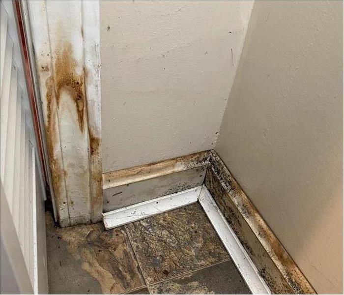 mold growth in the corner of a wall and on baseboards