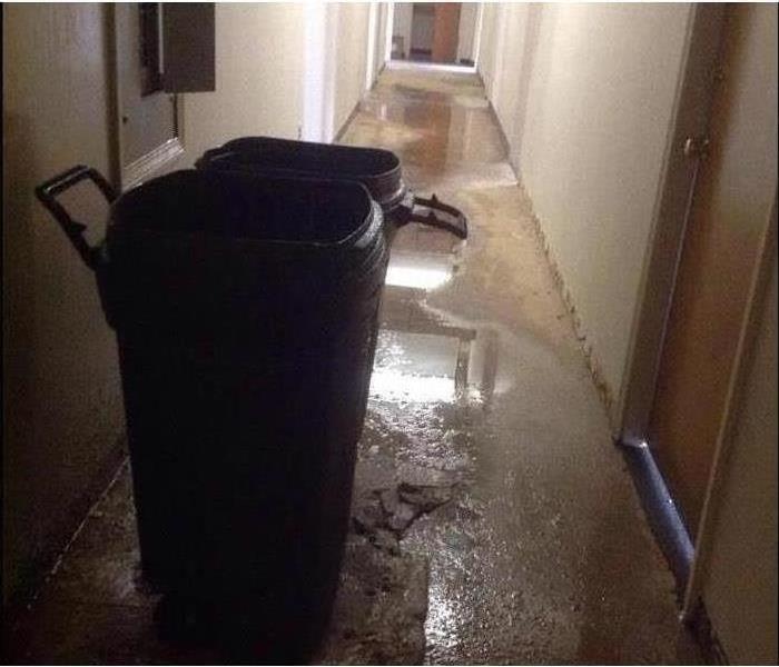 Two wheeled plastic trash cans with with lids on a hall way with water