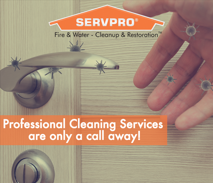 a graphic that says professional cleaning services are only a call away