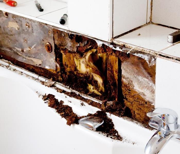 bathroom mold damage